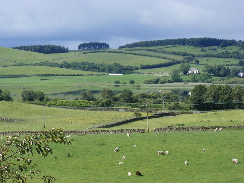 Bed & Breakfast Airds Farm